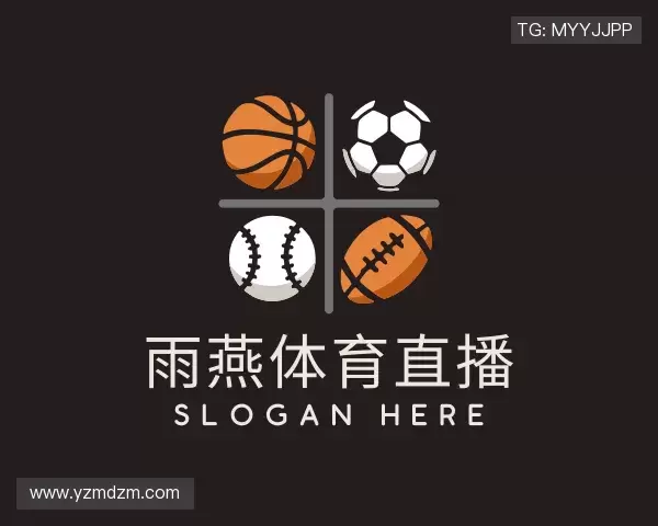 了解雨燕体育直播